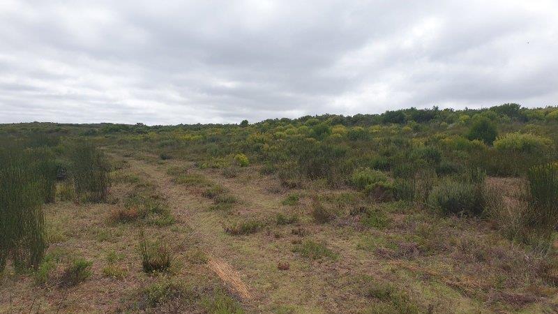 0 Bedroom Property for Sale in Stilbaai Rural Western Cape